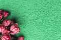 Pink artificial roses on a spring-green background Royalty Free Stock Photo