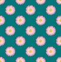 Pink Aster Flower Seamless on Green Teal Background. Vector Illustration.