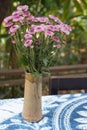 pink aster flowers bouquet in brown ceramic vase on blue fabric, blur nature background, decor, nature, gift, copy space Royalty Free Stock Photo