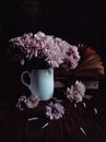 Pink aster in white vase with book in dark mood stillife