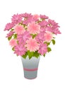 Pink asters in blue vase