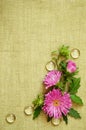 Pink asters composition Royalty Free Stock Photo