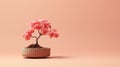 Pink Flower In Pot: Japanese-inspired, Uhd Stock Photo With Terracotta Background