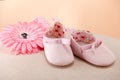 Pink baby girl shoes Royalty Free Stock Photo