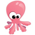 Baby Octopus Royalty Free Stock Photo