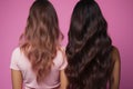Pink backdrop juxtaposes woman\'s hair repair Æ?? before and after, showcasing stunning results. Royalty Free Stock Photo