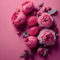 Pink background with beautiful rose flower