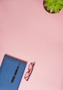 Pink background. Blue notebook, pen, glasses, succulent. Home desk. Copy space. Vertical photo Royalty Free Stock Photo