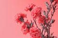 a pink background with carnations on it Royalty Free Stock Photo