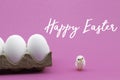 Happy Easter composition with a white toy chick and an egg carton Royalty Free Stock Photo