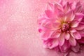 Pink background with glittering flower, copy space. Women's Day. It's a girl backdrop with empty space. Baby