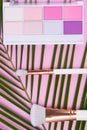 On a pink background and a green leaf of a palm tree, lies a set of multi-colored eyeshadow and white brushes for application,