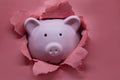 Pink piggy Bank. Symbol of new year 2019 Royalty Free Stock Photo