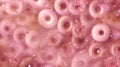 a pink background with lots of pink donuts and bubbles in the middle of the image and a pink background with lots of pink donuts