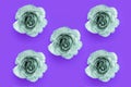 Pink background for text with silver glittering roses. Valentine day and love feminine concept Royalty Free Stock Photo