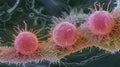 Pink Bacteria Cluster on Human Liver Cancer in Intricate Imagery