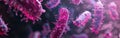 Close-Up View of Pink Bacteria Under a Microscope