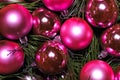 Pink ball Christmas ornaments on green pine tree branches. Royalty Free Stock Photo