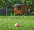 Pink ball on green grass in backyard