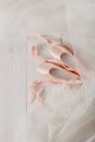 Pink ballet pointe shoes and tutu on white wood background Royalty Free Stock Photo