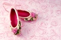 Pink Ballet Slippers Royalty Free Stock Photo