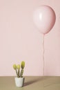 pink balloon cactus. High quality photo