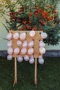 pink baloons on background of the backyard Royalty Free Stock Photo