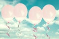 Pink baloons in the sky