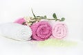 Pink bath accessories Royalty Free Stock Photo