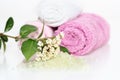 Pink bath accessories Royalty Free Stock Photo