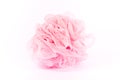 Pink bath sponge Royalty Free Stock Photo