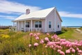 pink beachside cottage with a white roof surrounded by coastal wildflowers Royalty Free Stock Photo