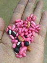 Pink beans which are organically grown in the hills of Mon Nagaland India It doesn& x27;t contain any added colours.