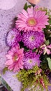 pink beautiful chrysanthemum gerbera flowers, plants bouquet Royalty Free Stock Photo