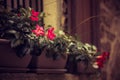 Pink beautiful flowers in pot on the brick wall of house near the window. Europe style decor of houses facad. Toned