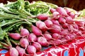 Pink beetroot Royalty Free Stock Photo
