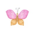 Pink and beige butterfly watercolor illustration isolated on the white background, simple hand drawn colorful clipart for cards,