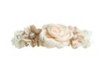 Pink Beige Flower Crown Front View isolated on white background with clipping paths Royalty Free Stock Photo