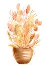 Pink and beige tropical leaves, a bouquet of dry plants in a vase on a white background, watercolor illustration