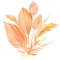 Pink and beige tropical leaves, a bouquet of dry plants on a white background, watercolor illustration in boho style