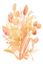 Pink and beige tropical leaves, a bouquet of dry plants on a white background, watercolor illustration in boho style