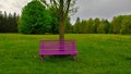 Pink bench in the fresh green park standing by a tree with beautiful meadow in behind Royalty Free Stock Photo