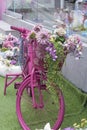 Pink bicycle with basket filled flowers Royalty Free Stock Photo