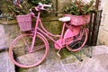 Pink bicycle in a row