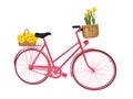 Pink bicycle. Vector illustration.