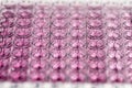 Pink bipoules for research Royalty Free Stock Photo