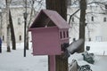 Pink birdhouse on a tree and soaring dove next to it Royalty Free Stock Photo