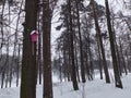 Pink Birdhouse On A Tree In Winter Snow Covered Park