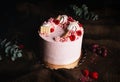 Pink birthday cream cake with fruits and chocolate on the top on dark background. Horizontal photo of beautiful cake - tart