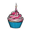 Pink birthday cupcake with burning candle Royalty Free Stock Photo